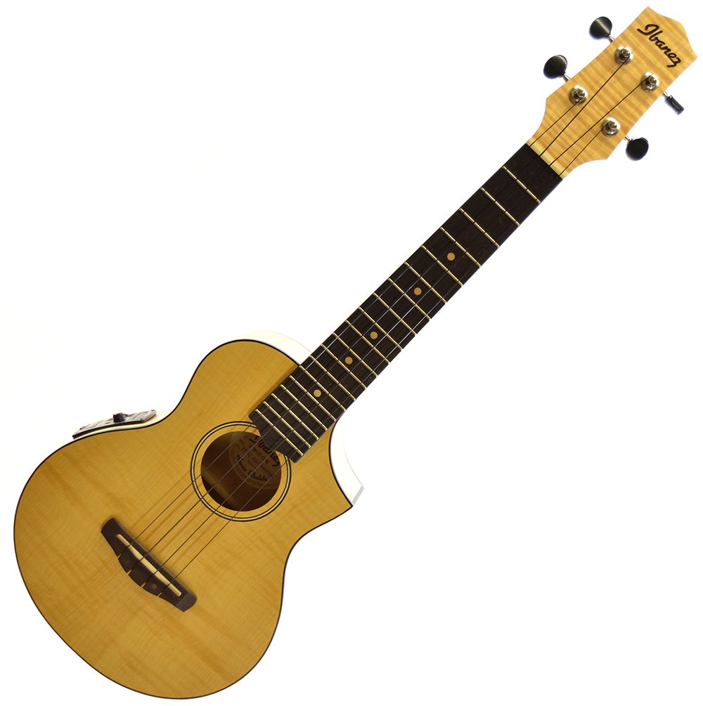Amazon.co.jp: Ibanez/アイバニーズ コンサート・スタイル 