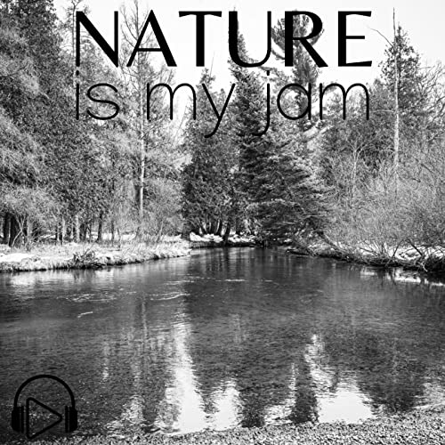 What Lies Beneath: Hydrophone Recording of the Boardman River