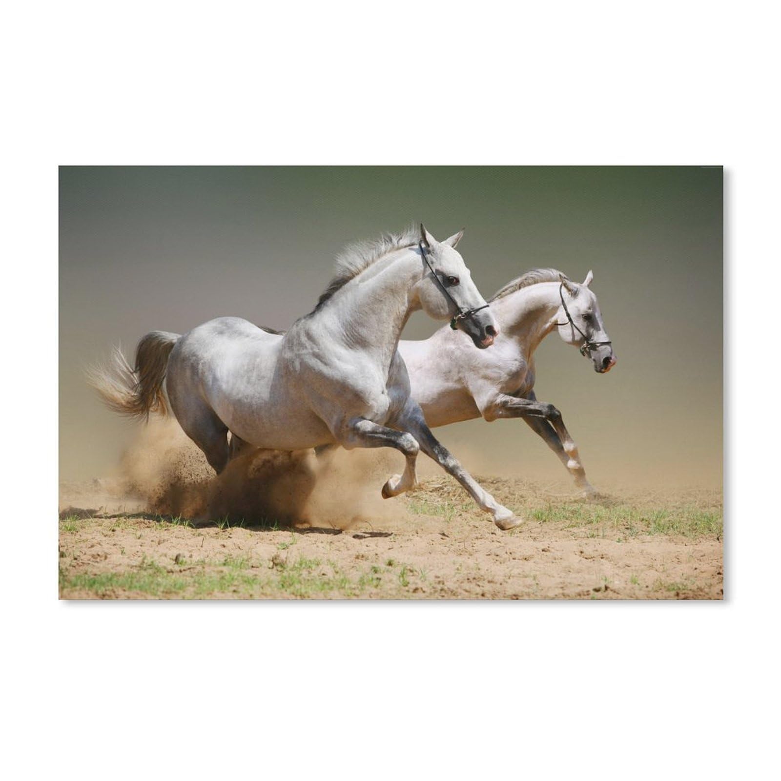 PGCKSK Diamond Painting Kits for Adults，2 Horses Running，Diamond Art Kits Full Round Drill 5D Diamond Painting Art, Diamond Gem Dots Art and Crafts for Gift Home Wall Decor（40x50cm）-D32