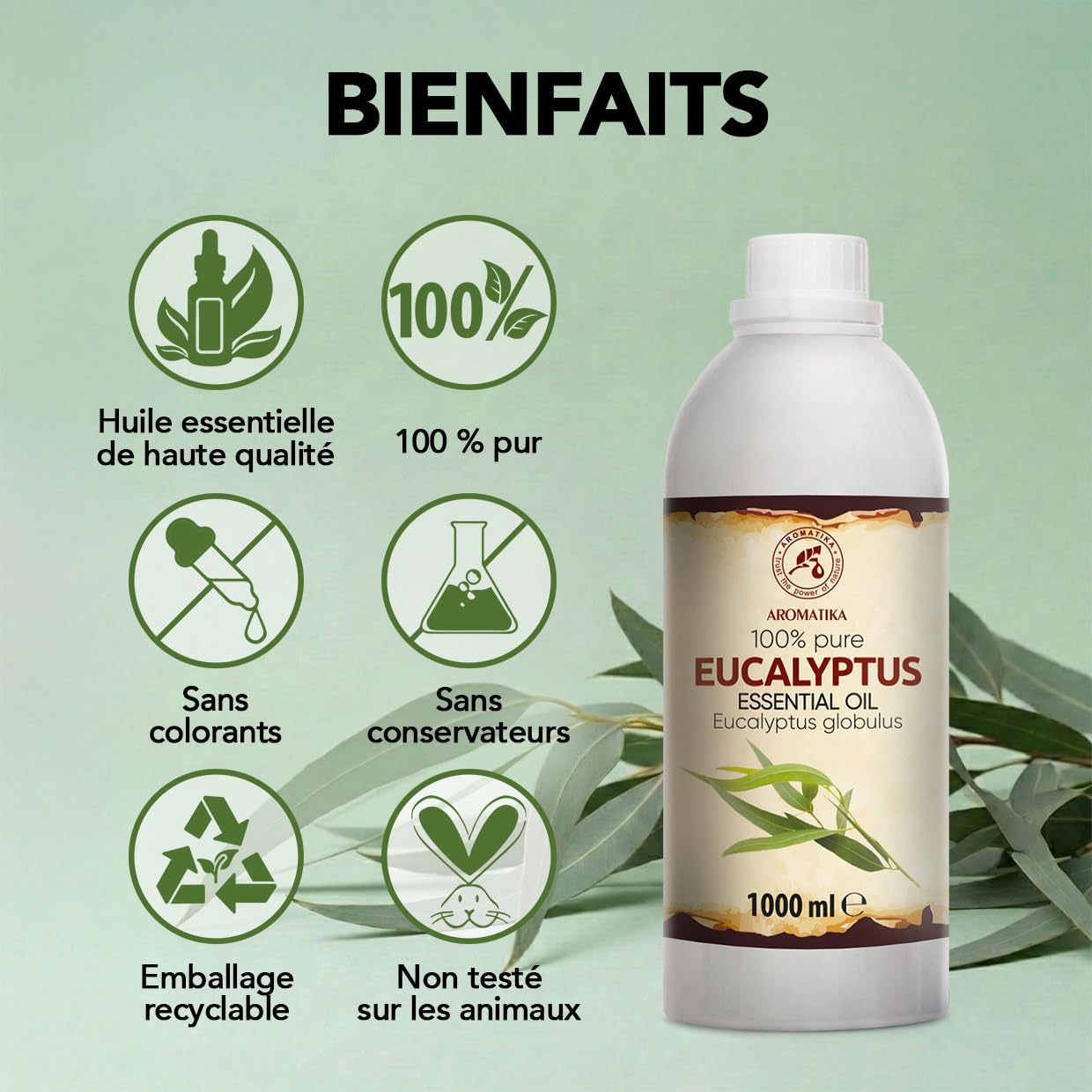 Huile Essentielle d'Eucalyptus 1000 ml - Eucalyptus Globulus - pour Diffuseur et Lampe Aroma - le Savon et les Bougies - Sauna - Parfums d'Intérieur - Arôme frais - Aromathérapie
