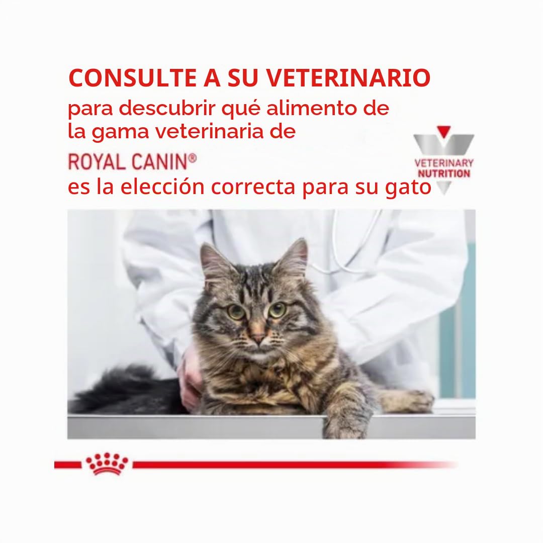 Royal Canin Veterinary Recovery | 12 x 195 g | Alimento dietético completo para perros adultos y gatos adultos | Mousse ultra suave con alto contenido en proteínas