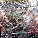 Hompavo 【Upgraded】 1400 sqft Spider Webs Halloween Decorations with 50 Extra Fake Spiders, Realistic Stretchy Cobwebs Halloween Decor for Indoor Outdoor Party Supplies