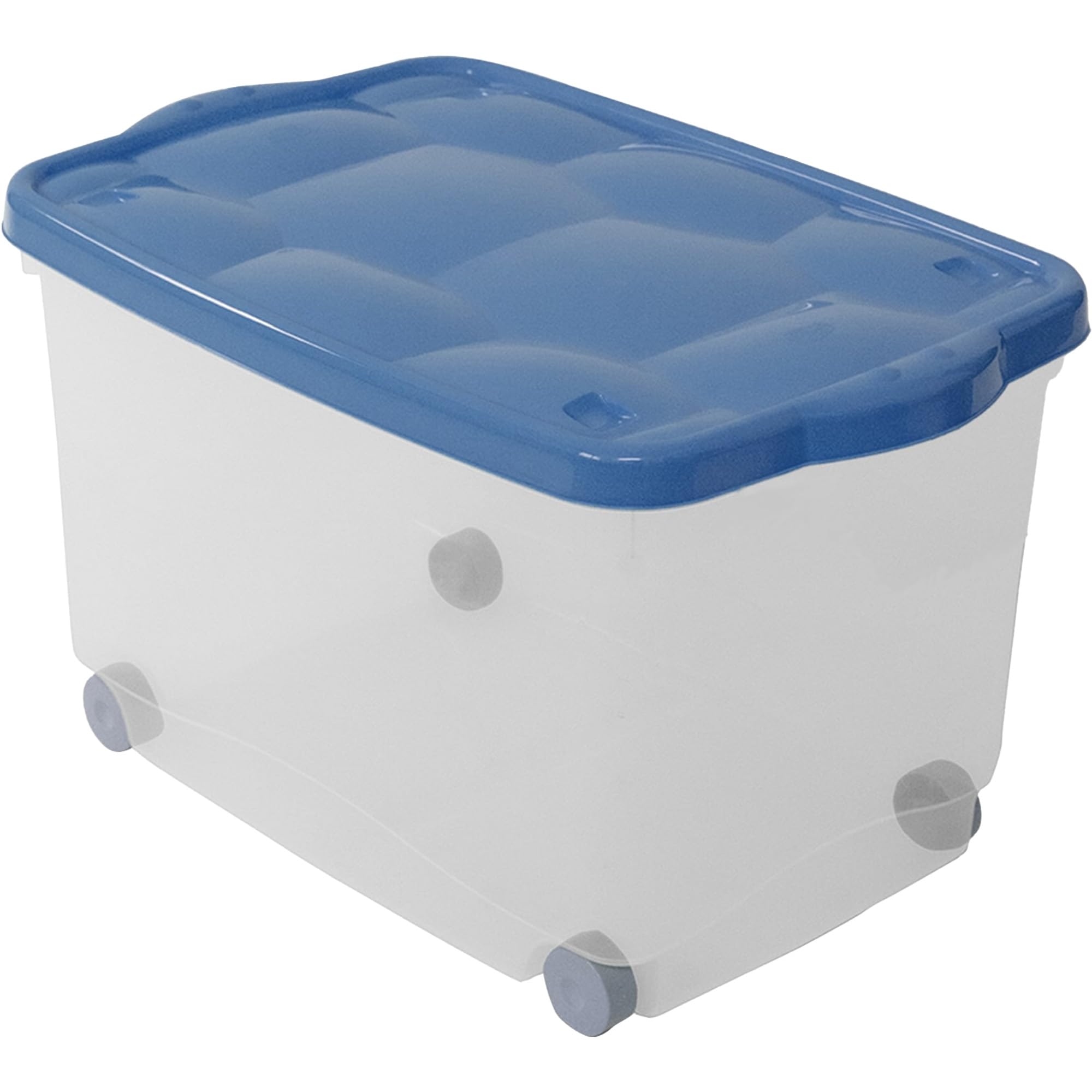 Sicignano | Mehrzweck-Aufbewahrungsbox mit Deckel in verschiedenen Farben, transparenter Kunststoff, stapelbar, rechteckig - für Wohnzimmer, Schlafzimmer, Kleidung (55 l, 2)