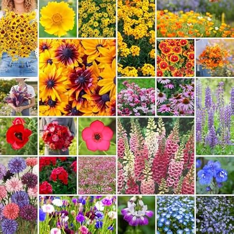 Eden Brothers Pacific Northwest Wildflower Mixed Seeds for Planting, 1/4 lb, 120,000+ Seeds with Cornflower, CA Bluebell | Attracts Pollinators, Plant in Spring or Fall, Zones 3, 4, 5, 6, 7, 8, 9, 10 Cover