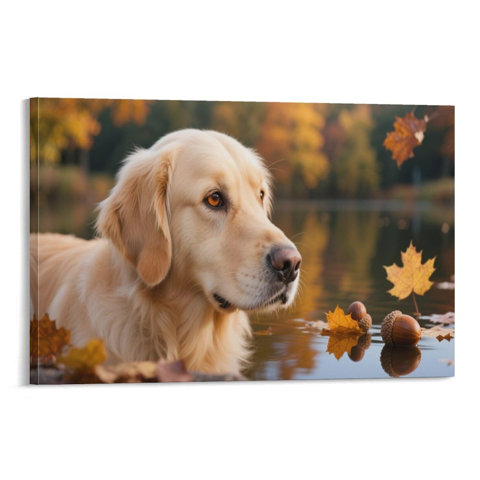 Iejkluvwx Frame-Style-11 Golden Retriever Canvas Wall Art Dog Artwork On Wall Art Canvas Paintings Gift To Your Families And Friends Or Your Lover 20X30inch(50X75cm)