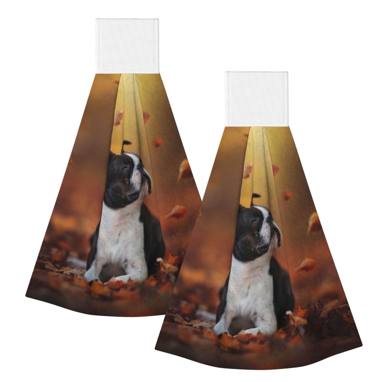 DOPKLNA Boston Terrier Autumn Bokeh Dogs Dogs, 2 Pcs Hanging Coral Fiber Hand Towels for Bathroom, Absorbent Kitchen Towels