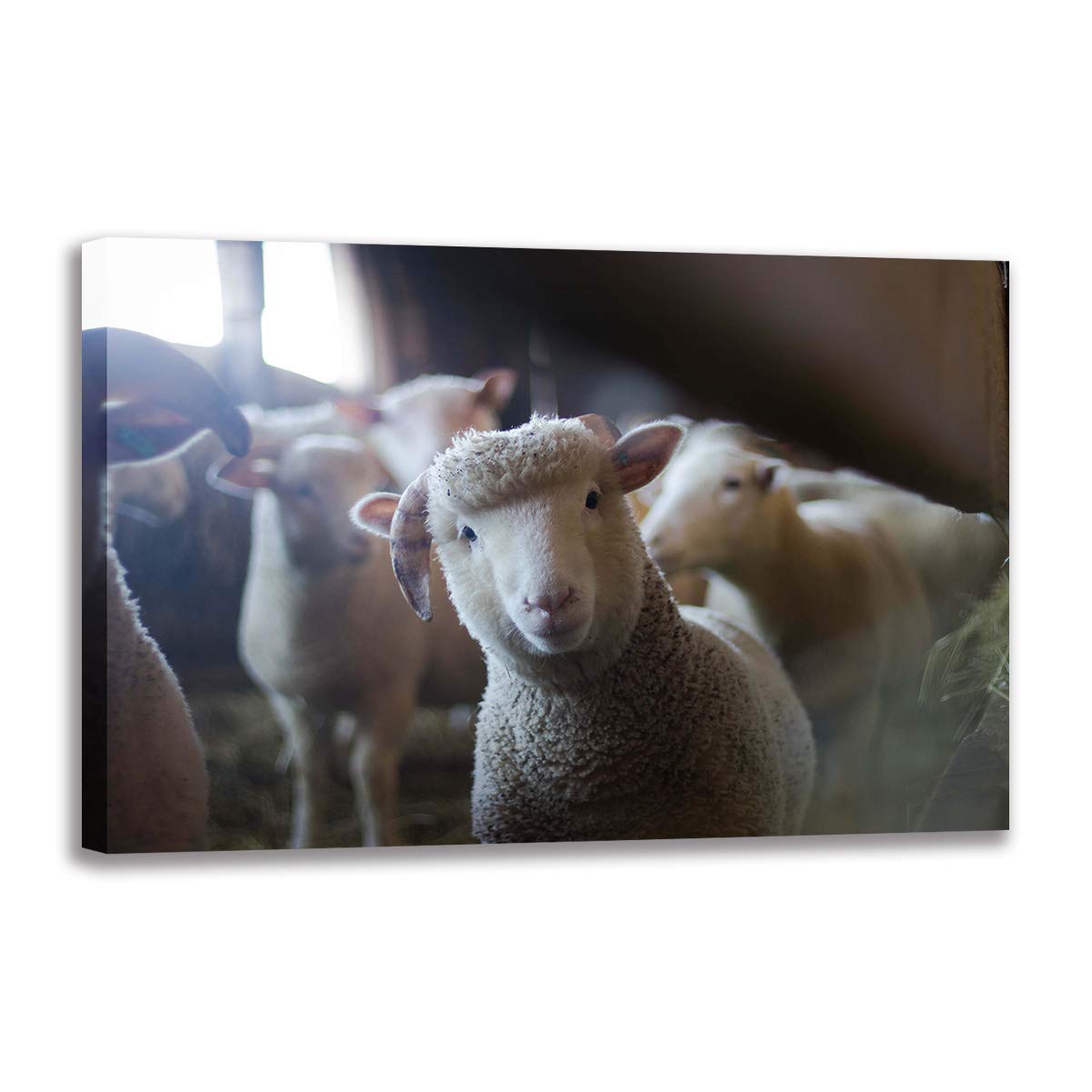 Toile animaux de la ferme grand format pour décoration de salon et chambre