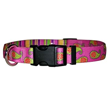 Yellow Dog Design Pink Paisley Dog Collar, Medium-3/4 Wide fits Neck Sizes 14 to 20