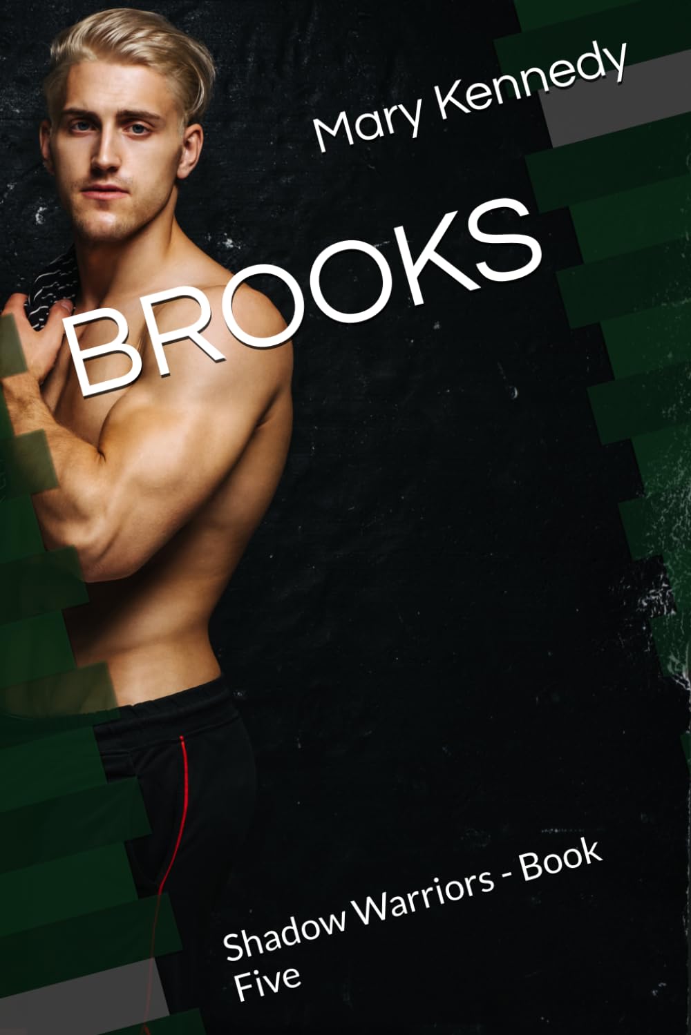 BROOKS: Shadow Warriors - Book Five