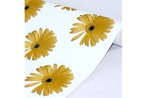 Yifely Bookcase Lights for Top