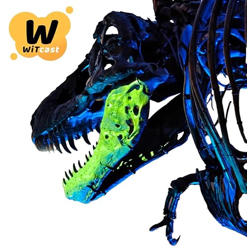 WiTcast 171 &ndash; สักการะป้า Sue ที่ Field Museum / สุสานวาฬ / ทัวร์แล็บควอนตัม + เลี้ยงเซลล์หัวใจ / WiT Quiz