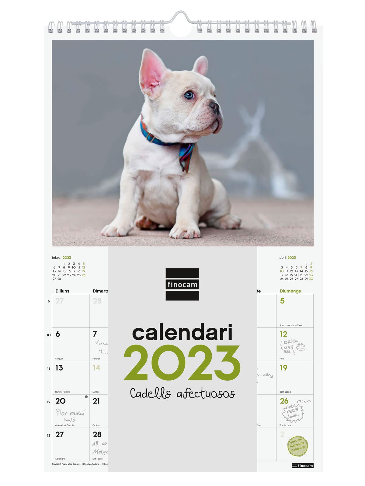 Finocam - Calendar 2023 Spiral Wall Images for Writing January 2023 - December 2023 (12 months) Catalan Puppies