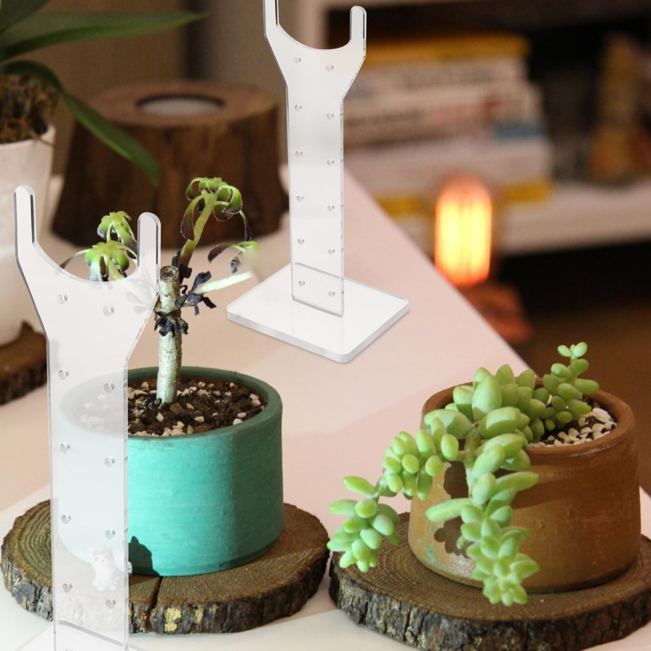 Happyyami 1 Pair Grow Light Bracket Grow Light Stand Indoor Plant Light Stand Plants Growing Lamp Rack Plant Light for Indoor Plants House Plants Indoors Live Acrylic Simple Fixture