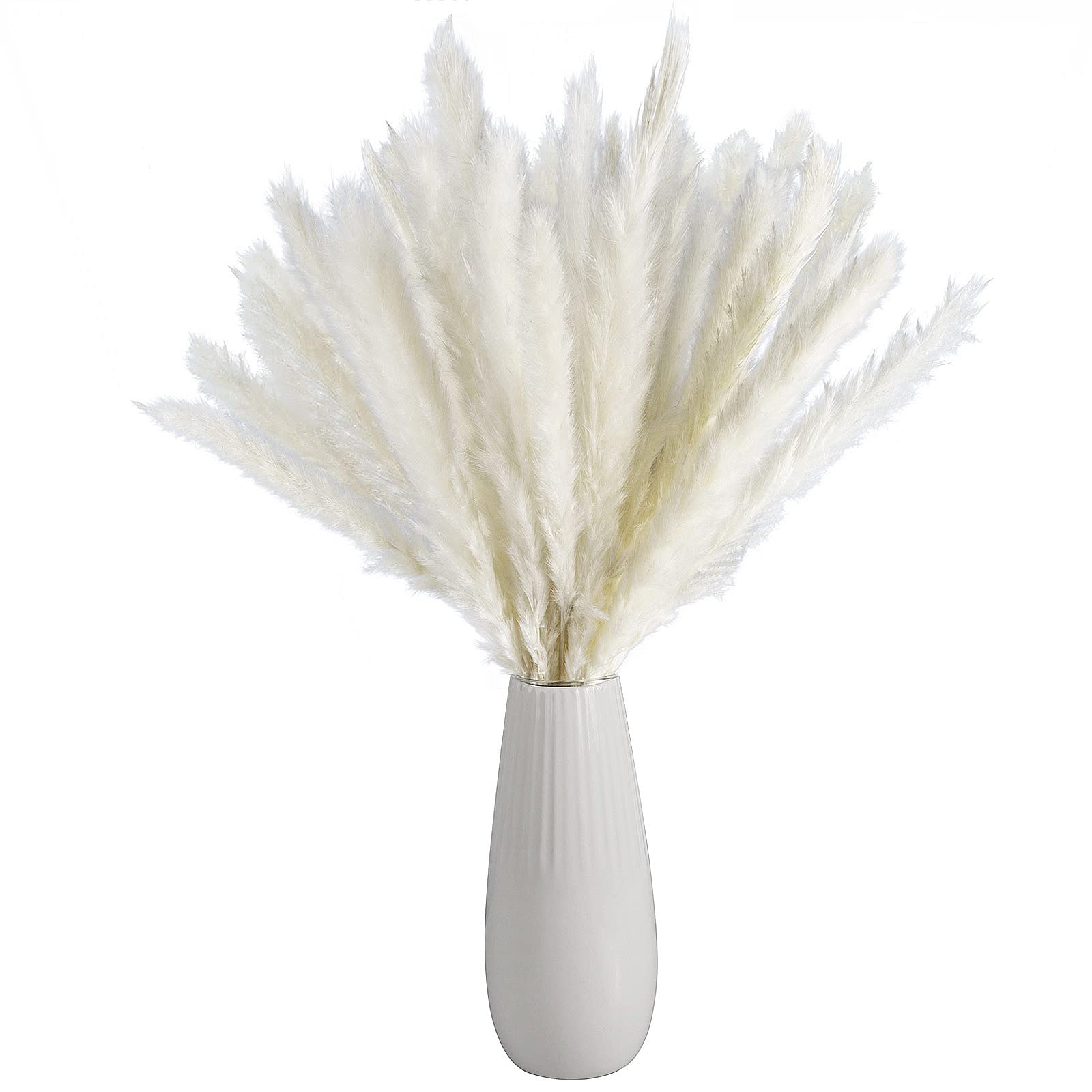 30 Pcs White Pampas Grass, Soft and Fluffy, No Stench 18" Pampas Grass Decorative Plants, for Home Decor Wedding Party Decor