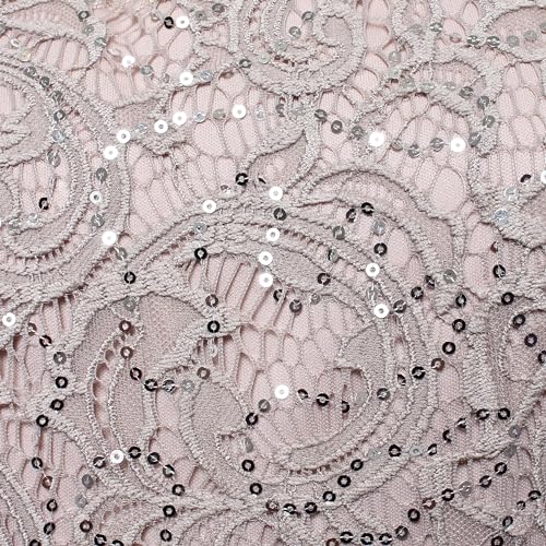Image of Alex Evenings Womens Long Lace Top Empire Waist Dress