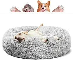 CAMA PET DONUT NUVEM PELUCIA GG REDONDA CAMINHA PELUCIADA NINHO CASINHA CASA COLCHONETE Cachorros E Gatos NUVEM FUNDO ANTIDERRAPANTE IMPERMEAVEL GRANDE 70CM (CINZA)