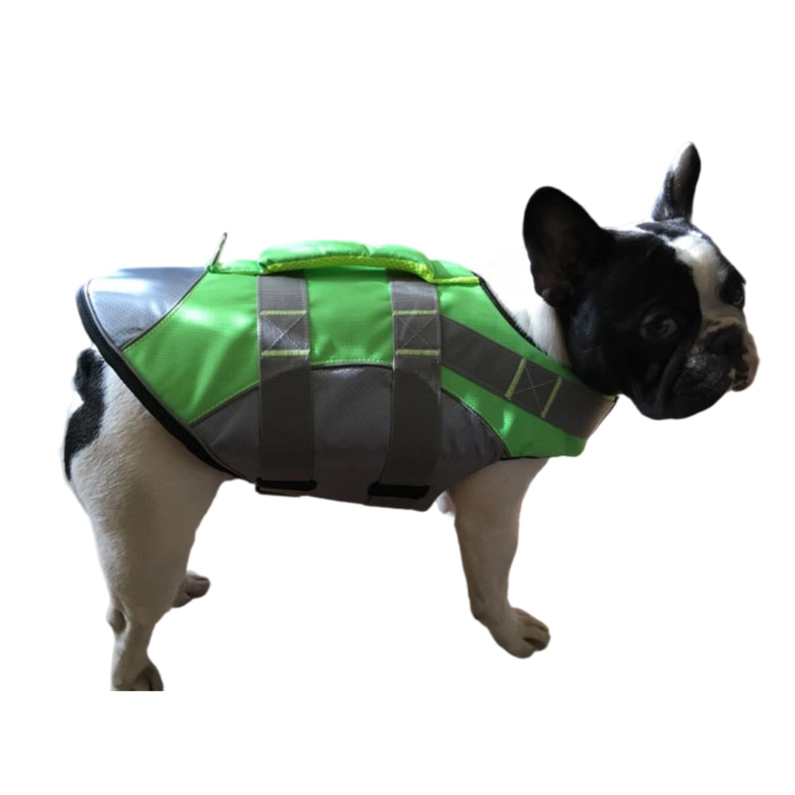 Maillot de bain de sauvetage pour chien, gilet de sauvetage pour chien, ceinture réglable, aide à la natation, maillot de bain de sécurité, équipement de sécurité aquatique