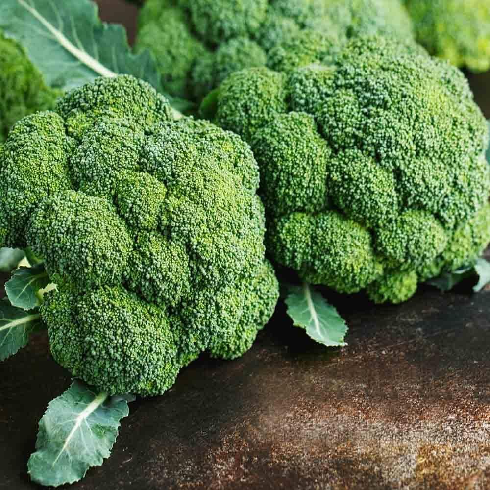 Organic broccoli sprouting seeds (90 seeds) (B0D5RN7PWS) Amazon Price History, Amazon Price Tracker