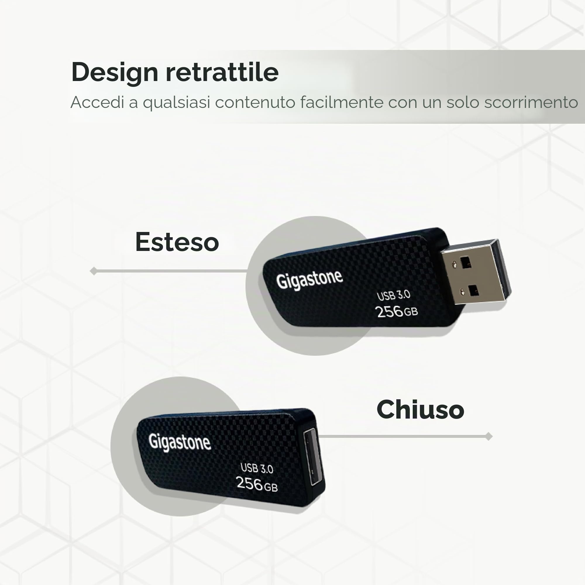 Gigastone Chiavetta USB 256 GB Set da 2, Z30 USB 3.2 Gen 1 Professional Serie, Senza cappuccio con design retrattile, compatibile con interfaccia USB 2.0 / USB 3.0 / USB 3.1