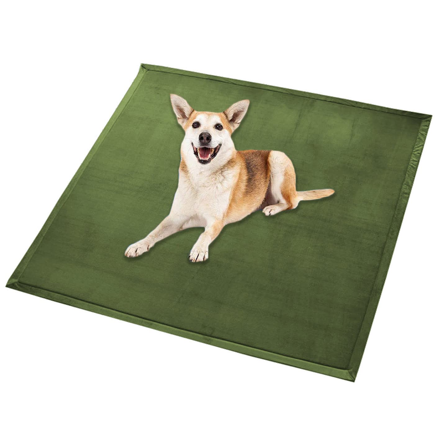 Waigg Kii Large Dog Bed Mat Soft Coral Velvet Large Pet Mat,Calming Cat Sleeping Mat Non-Slip Dog Mattress for Small Medium Large Dogs Cats (150x150cm,Dark Green)