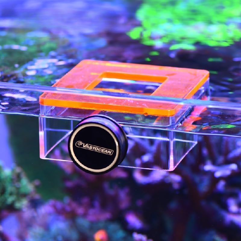 Strong Magnetic Acrylic Feeding Box Feeding Ring Aquarium Fish Food Fish Food Feeding Ring Feeding Ring (Orange)