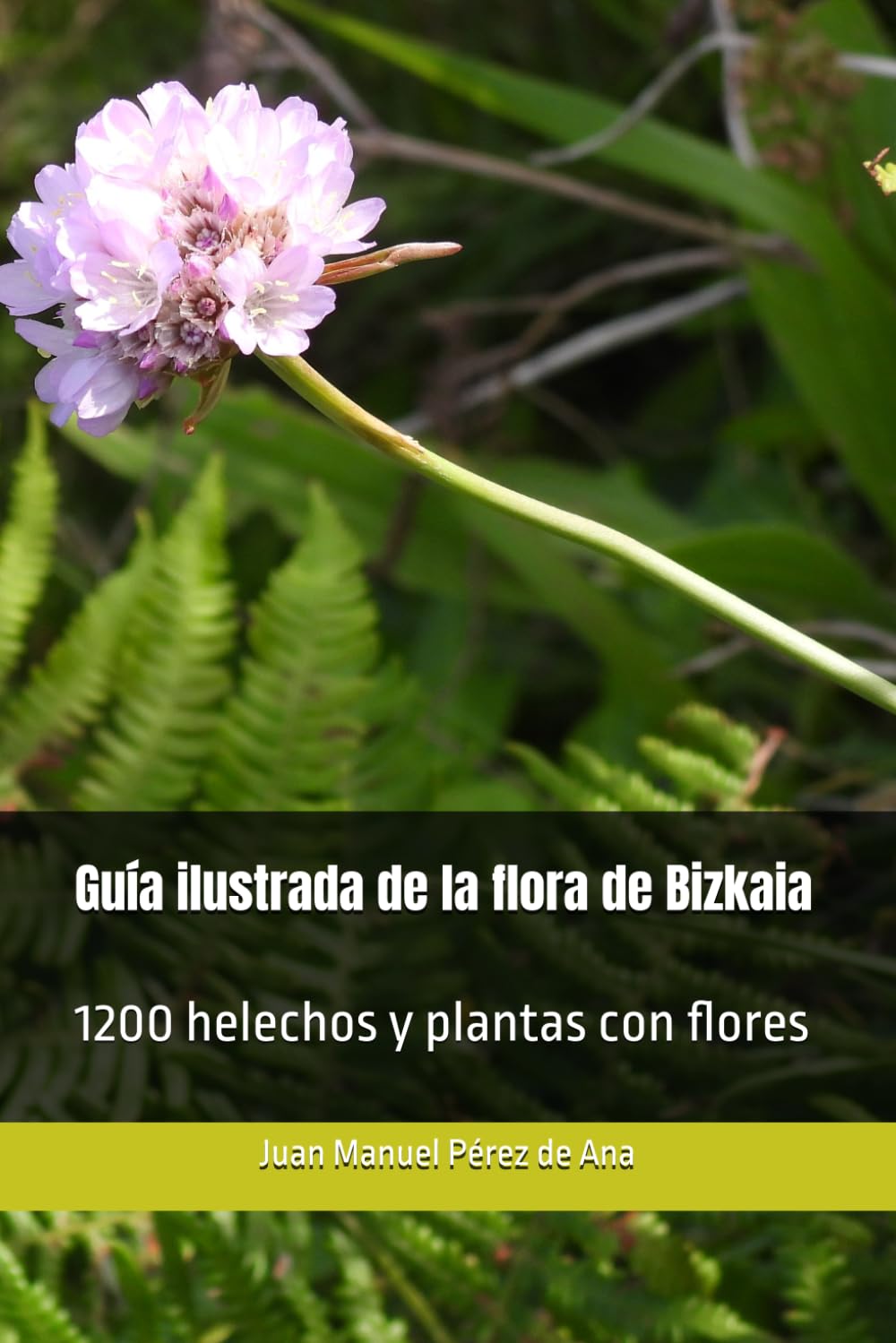 Guía ilustrada de la flora de Bizkaia: 1200 helechos y plantas con flores