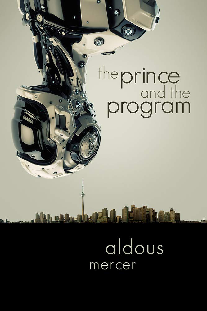 Buy The Prince and the Program — BookShops.in