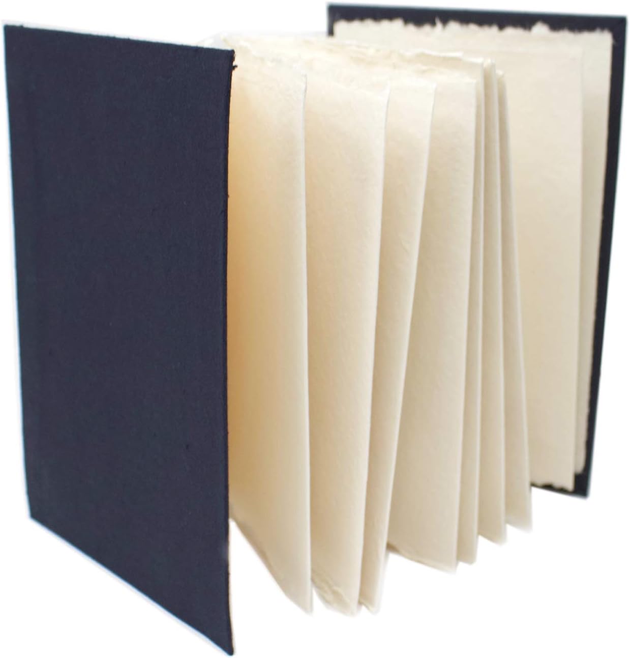 Seawhite Octopus Sketchbook Amazon.co.uk Home & Kitchen