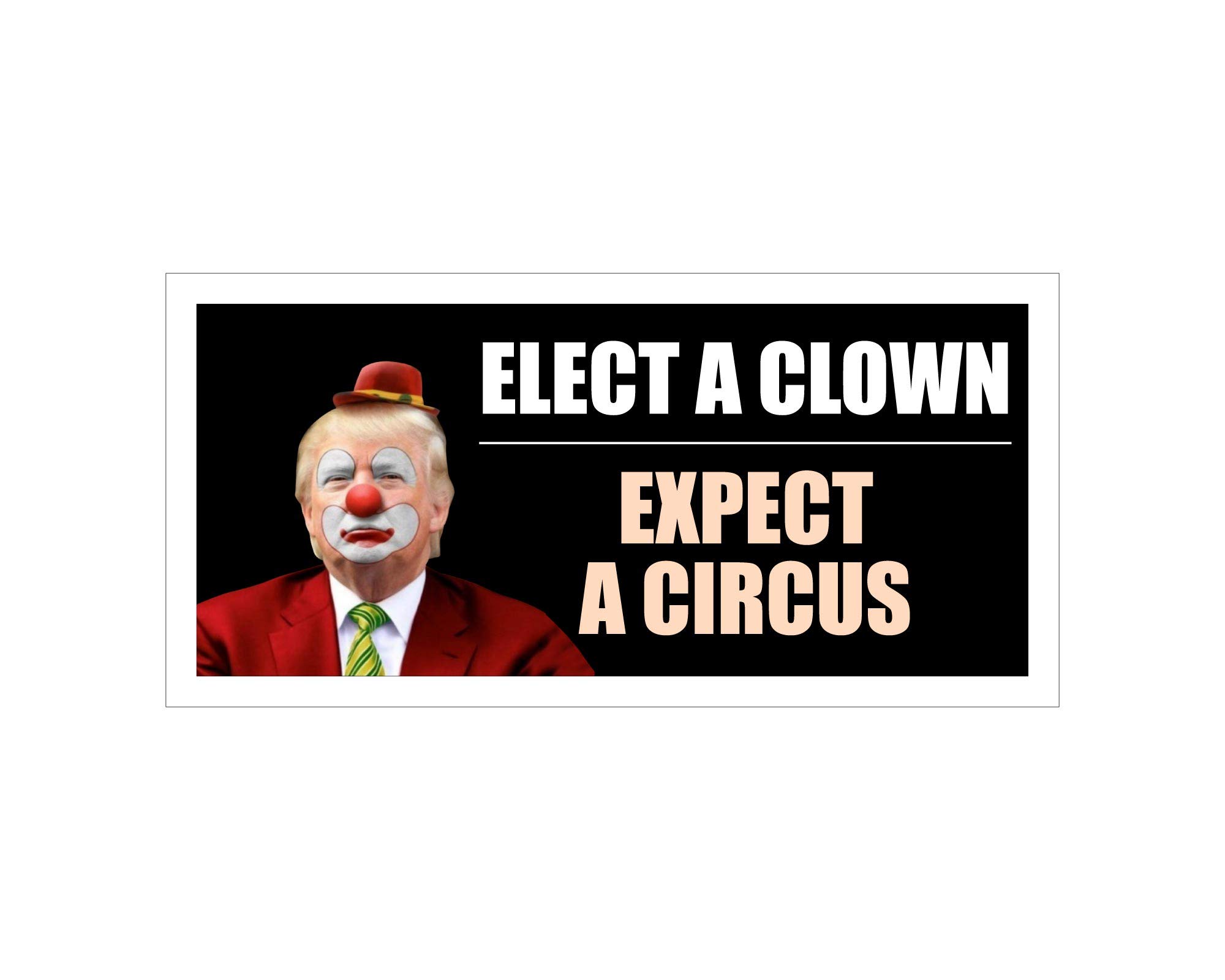 StickerPirate Car Magnet - Elect A Clown Expect A Circus Trump 2020 Trm319