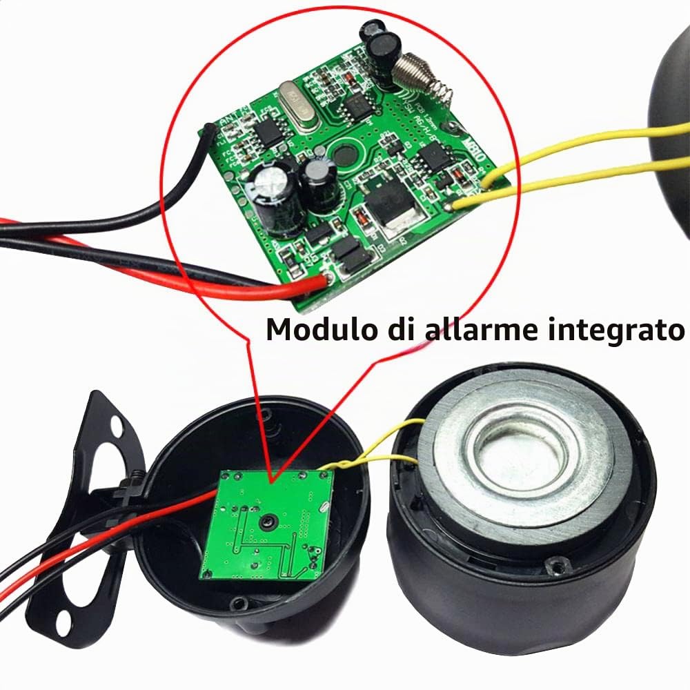 Riloer 12V Allarme auto universale Vibrazioni Sistema antifurto per auto Dispositivo per retrofit elettropneumatico Sistema di chiusura centrale, Accessori di allarme auto Protezione di sicurezza auto
