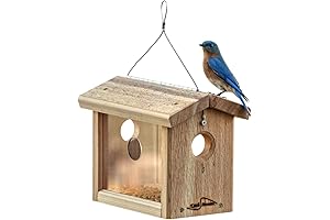 Kettle Moraine Cedar Hanging Bluebird Mealworm Feeder