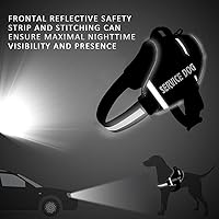 Vista 3 de Arnés para perro, sin tirones, con asa ajustable, para exteriores, chaleco de nailon reflectante 3M, fácil control del perro, para perros pequeños