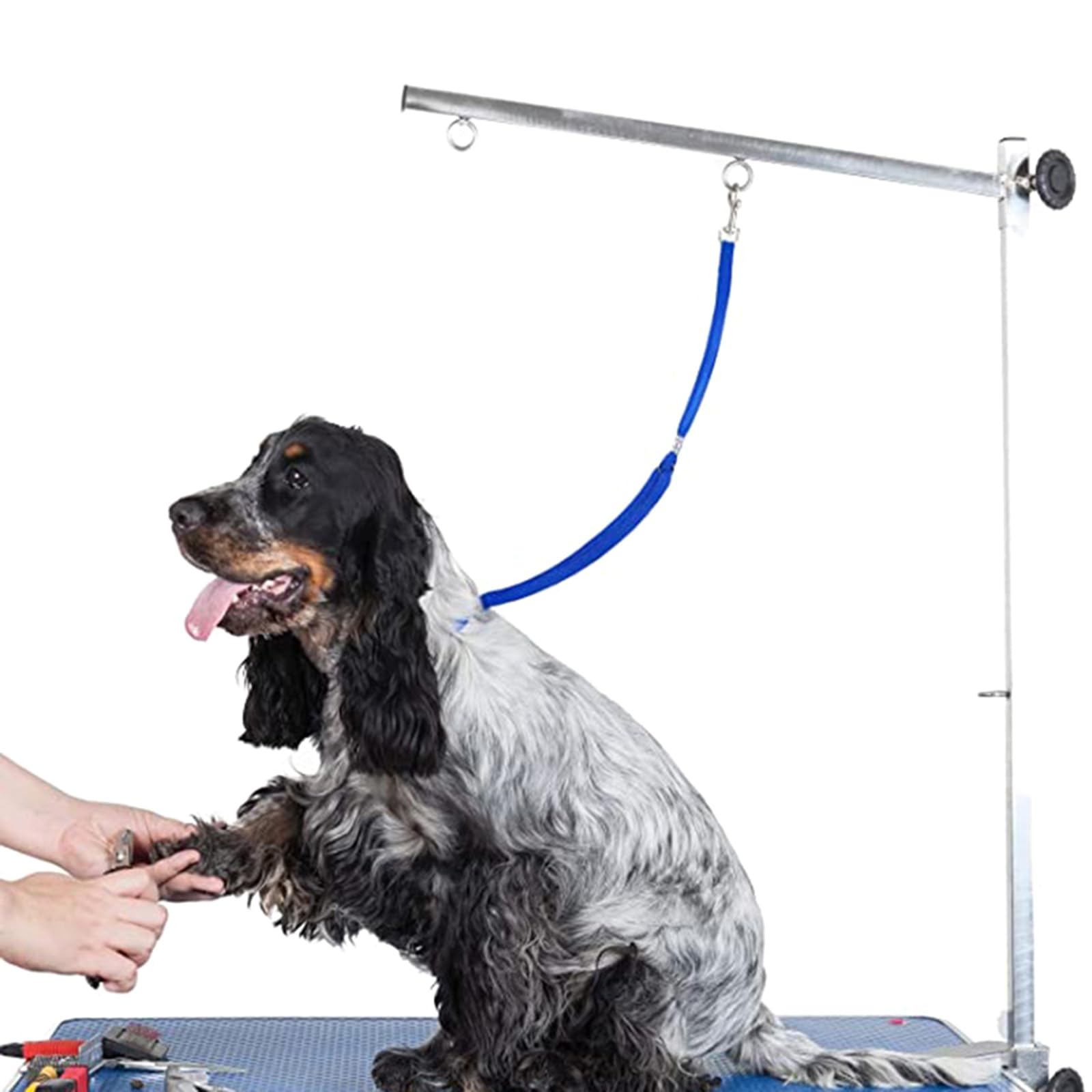 Circle Y Breast Collar Wildcard Leather Tooling Vintage 1062-21-S8