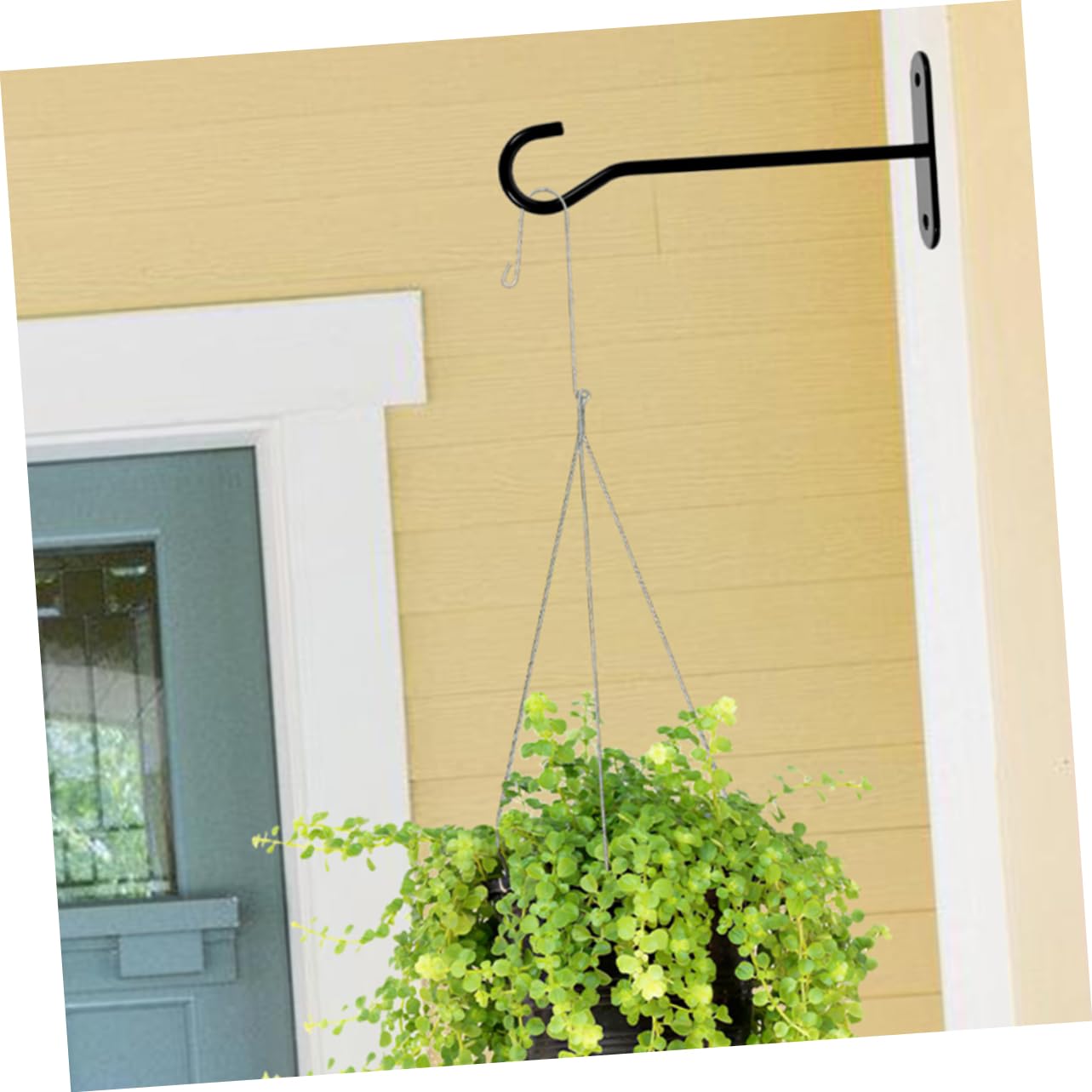 BESTonZON 8 Ensembles Panier de Suspendu Crochet Crochets Plantes en Multi Usine monté cintres de jardinière Cintres à Fleurs Crochet Suspendu Noir