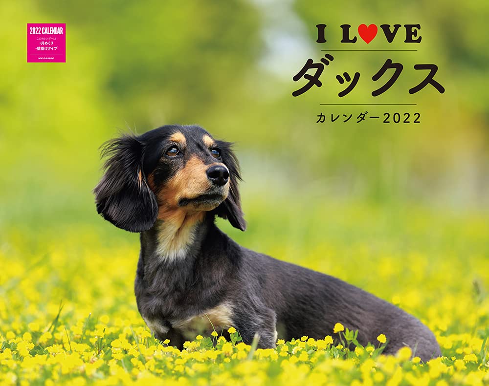 カレンダー22壁掛け I Love ダックスカレンダー 22 ネコ パブリッシング 本 通販 Amazon