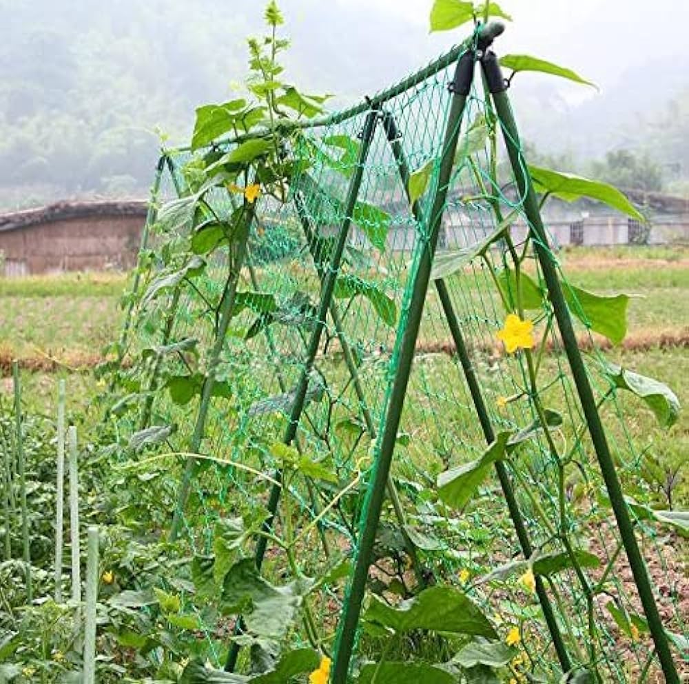 Amazon | 園芸ネット 10cm つるものネット つる植物 ネット