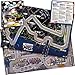 Formula D Board Game Singapore - Docks EXPANSION - Thrilling Night Races and Daring Challenges! Fast-Paced Strategy Game for Kids & Adults, Ages 8+, 2-10 Players, 60 Minute Playtime, Made by Zygomatic