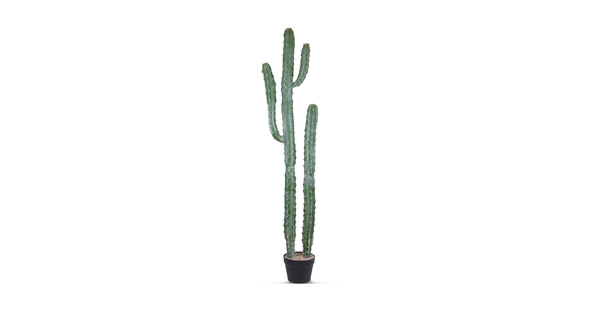 Nala ナラ　Cactus all in one Nala ナラ Cactus all in one Sサイズ