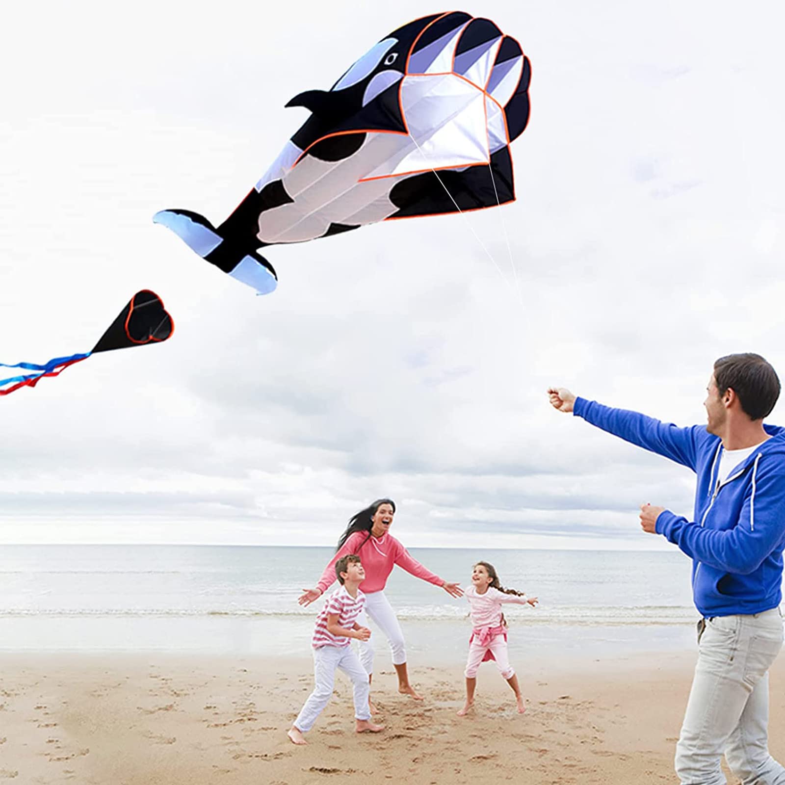 Amazon.com: HUIZHITENGDA Animal Kites 3D Kite for Kids & Adults