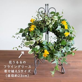 Amazon.co.jp: 【フラワースタンド 屋外】高さ35cmのフラワー