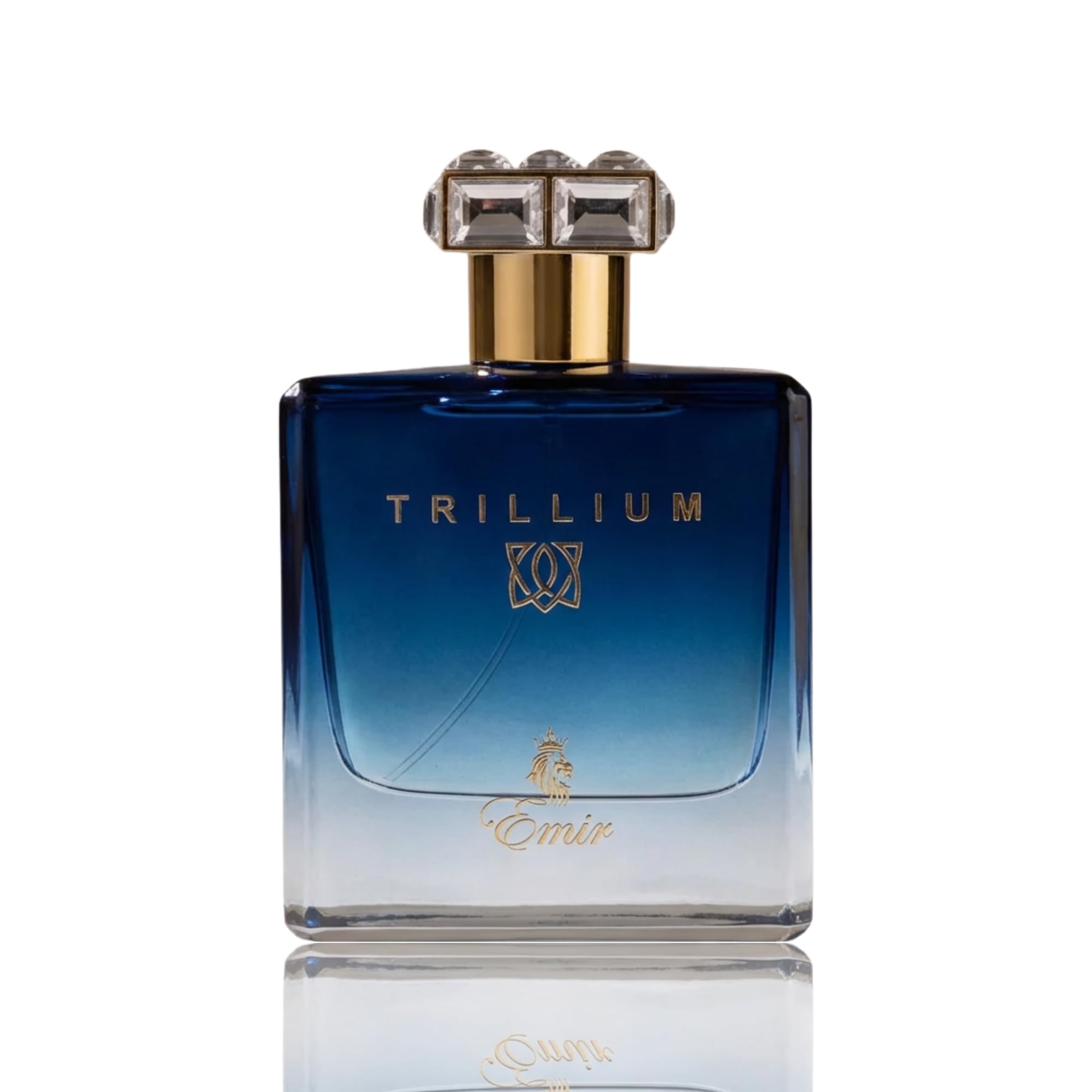 Emir Trillium Eau De Parfum Men Spray Fragrance Scent 100ml – PARIS CORNER PERFUMES
