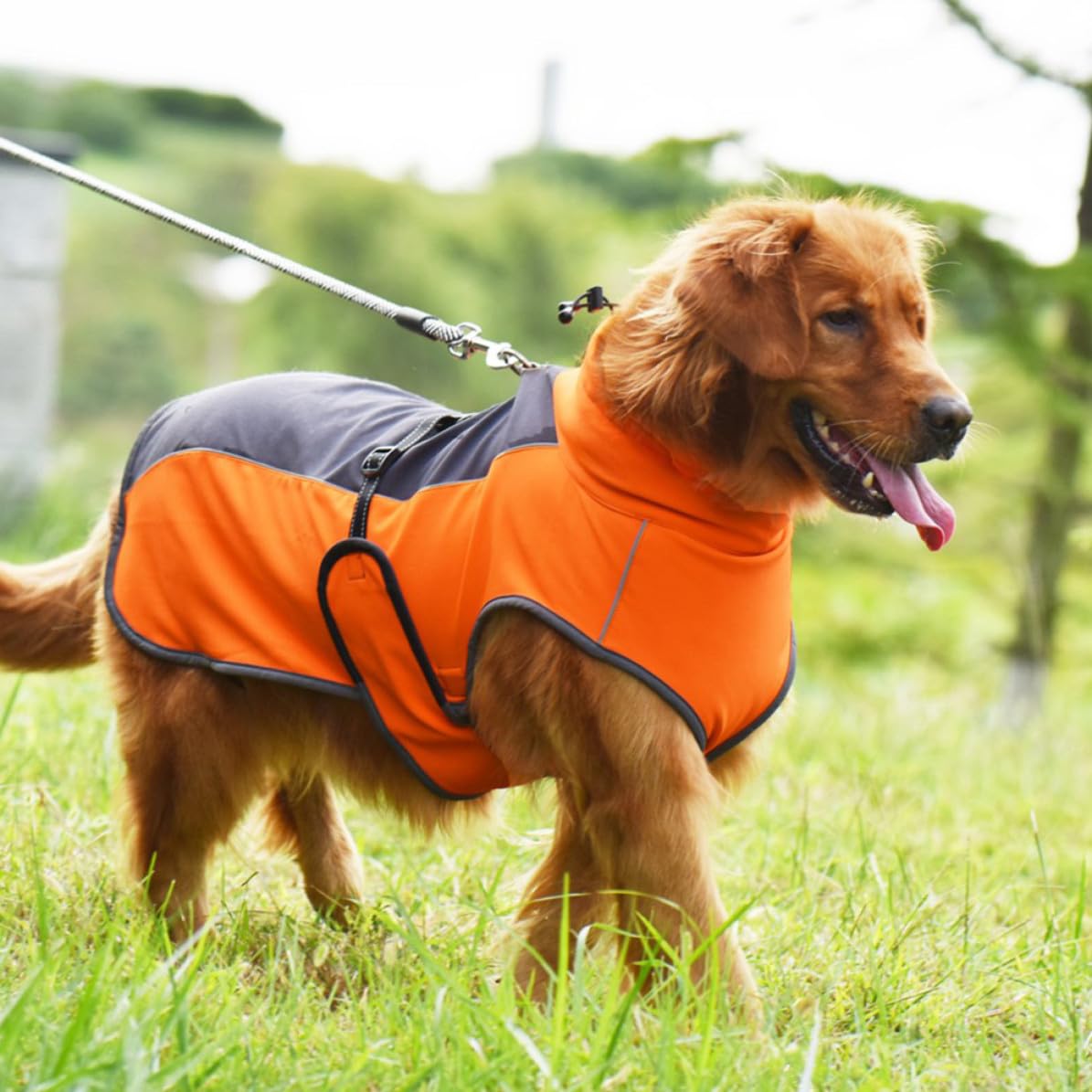 Operitacx 2 Pièces Manteau pour Chien Imperméable et Chaud, Gilet