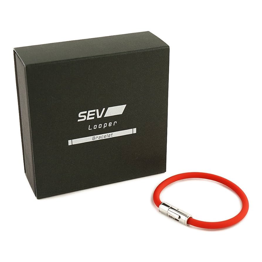 SEVルーパー free_1742275837151.jpg