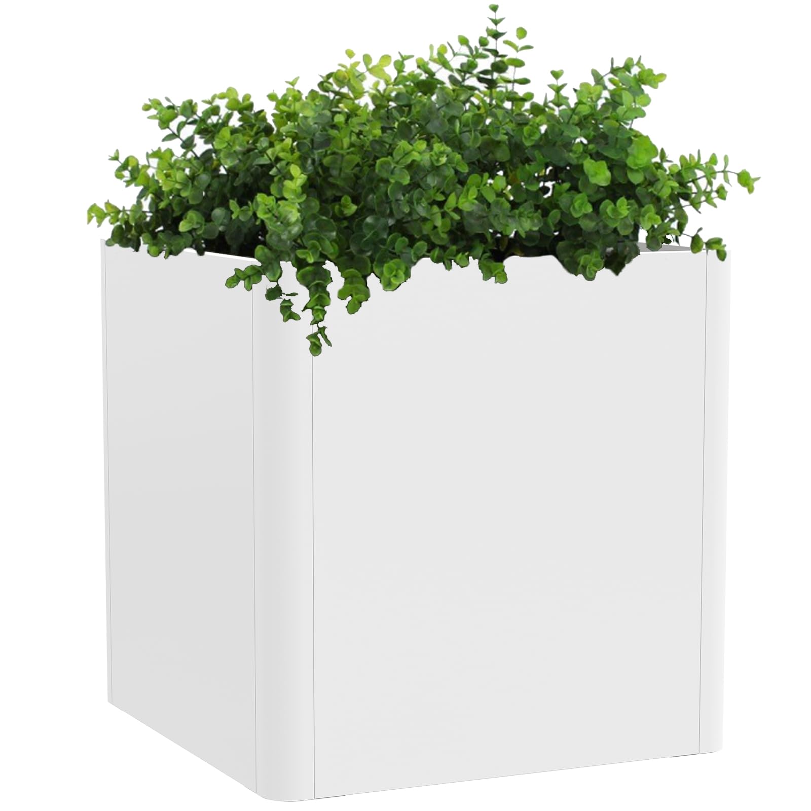 plastic pot plants 3 Gallon Plant Pots (Black Plastic) – Grow Organic