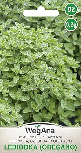 WegAna Semillas de Orégano 0.2g, Semillas de Hierbas Robustas Semillas de Hortalizas Semillas de Cultivo Hierbas de Cocina Balcón y Jardín Especias