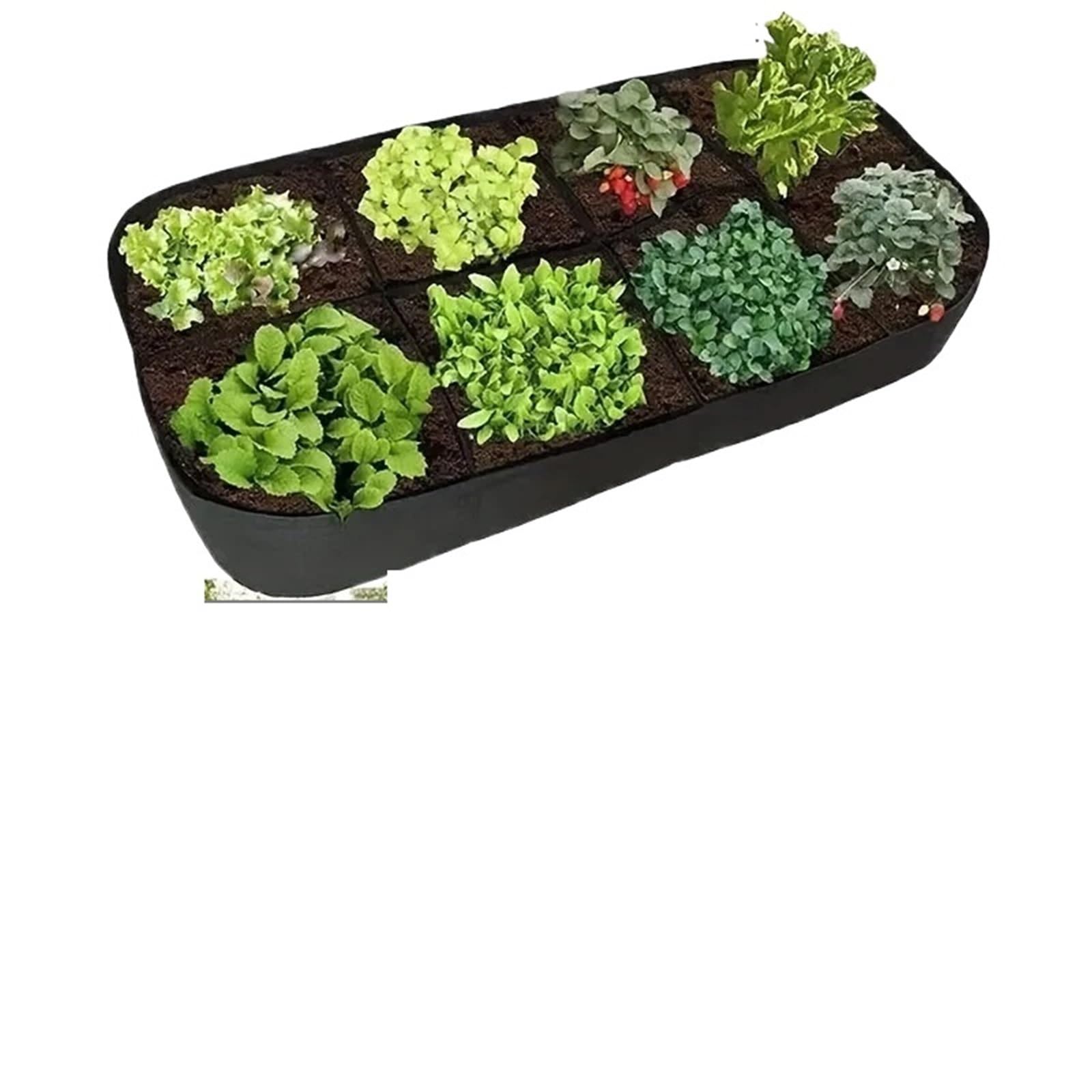 Caja plantación rectangular de 8 rejillas para solucionar la falta de espacio en el suelo