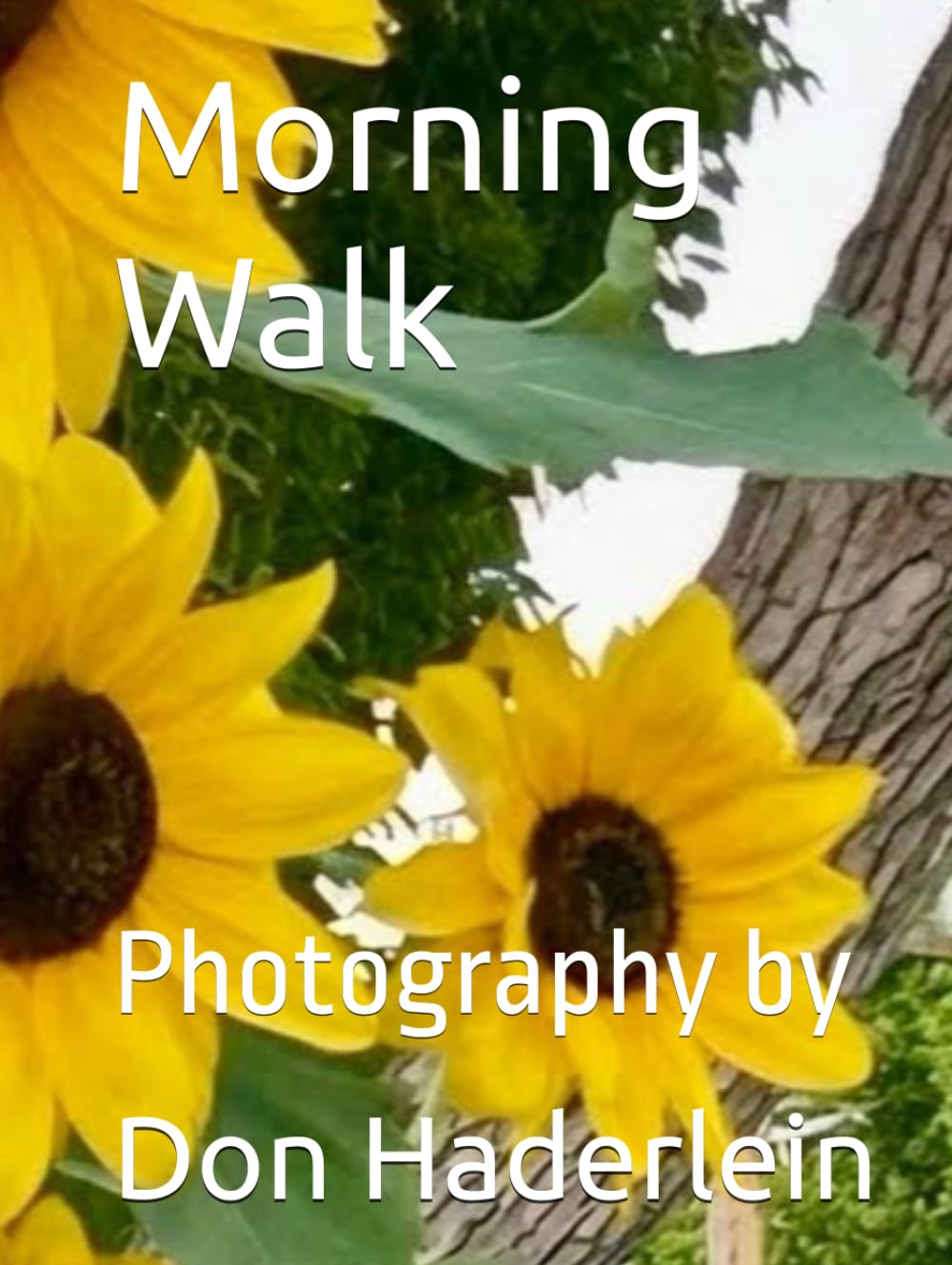 Morning Walk avec semelle ergonomique pour une marche active sans fatigue