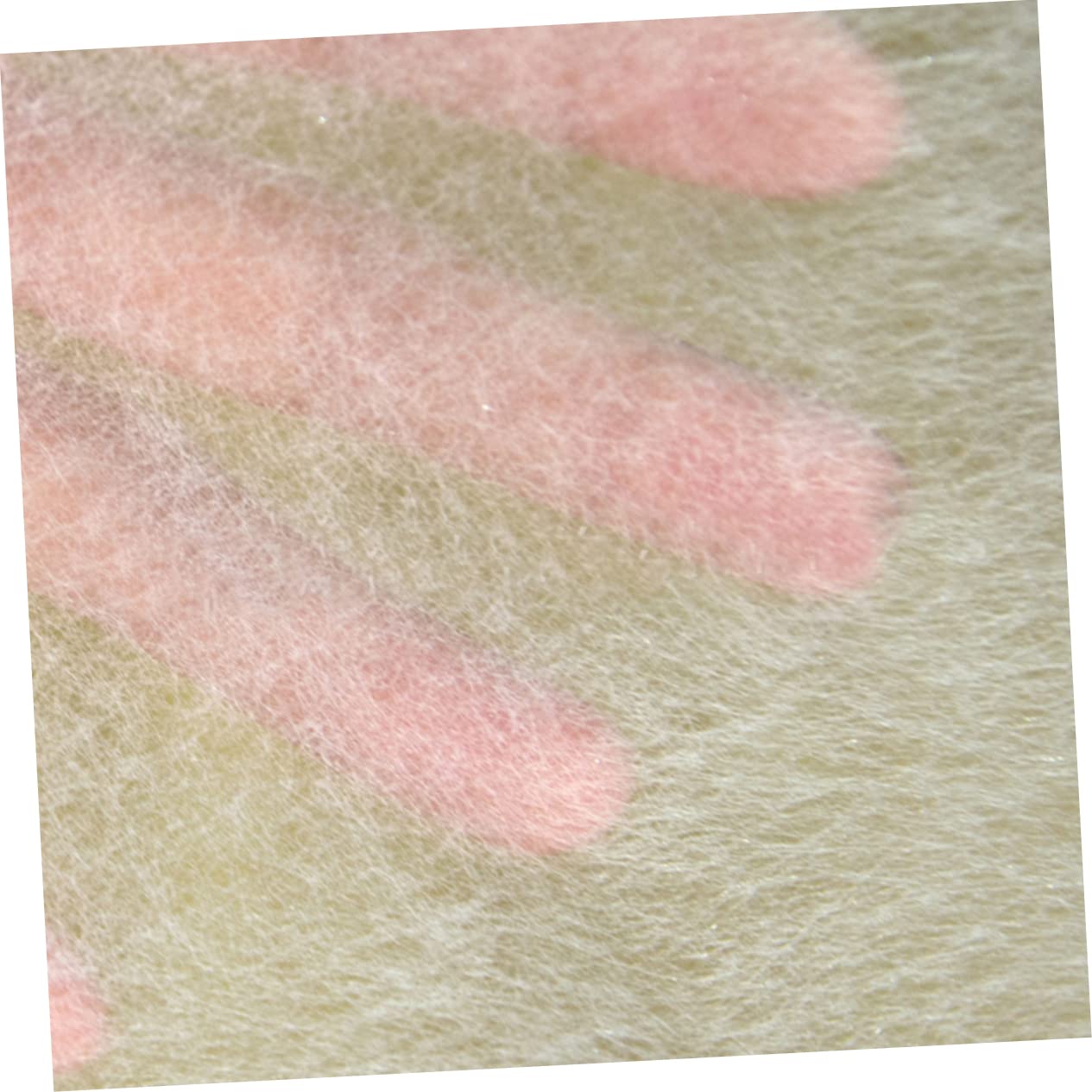 TEHAUX 8rouleaux Ruban Double Face Non Tissé Pour Vêtements Bande Thermocollante Large Blanc Pour Accessoires De Couture Et Ourlets