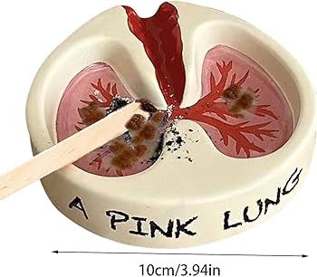 61gpCN4KTAL._AC_UF350, 61gpCN4KTAL._AC_UF350,