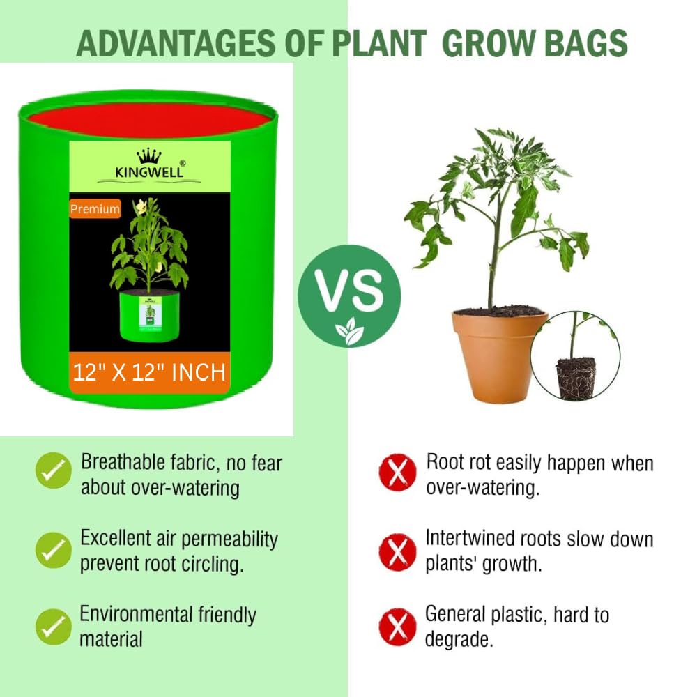 Kingwell Plant Grow Bags 12x12 inch pack of 10, Bags for Plants Gardening Home, Grow Bags for Terrace Gardening 2